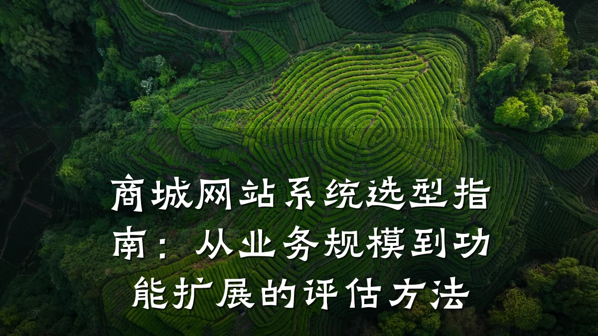 商城网站系统选型指南：从业务规模到功能扩展的评估方法