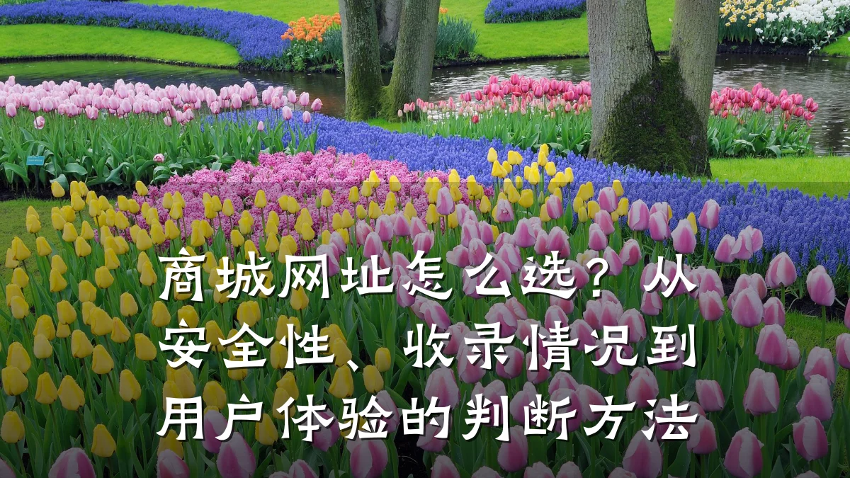 商城网址怎么选？从安全性、收录情况到用户体验的判断方法