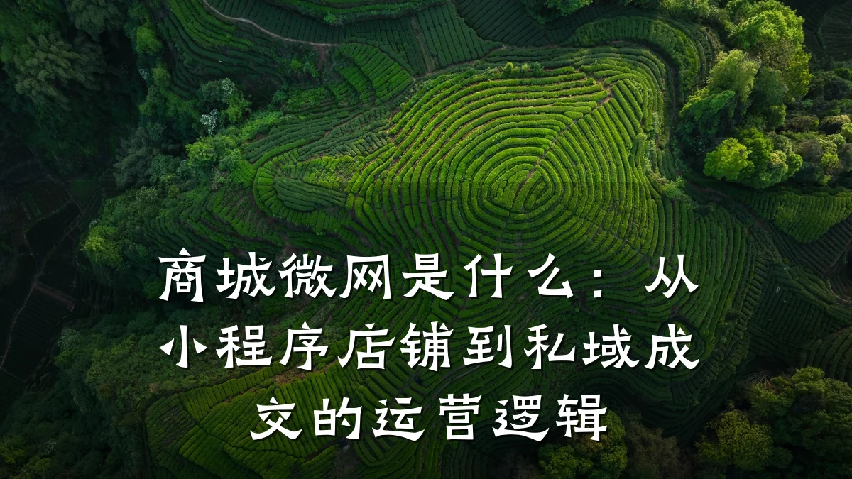 商城微网是什么:从小程序店铺到私域成交的运营逻辑