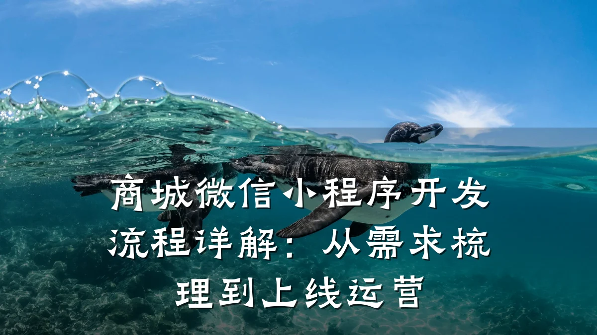 商城微信小程序开发流程详解:从需求梳理到上线运营
