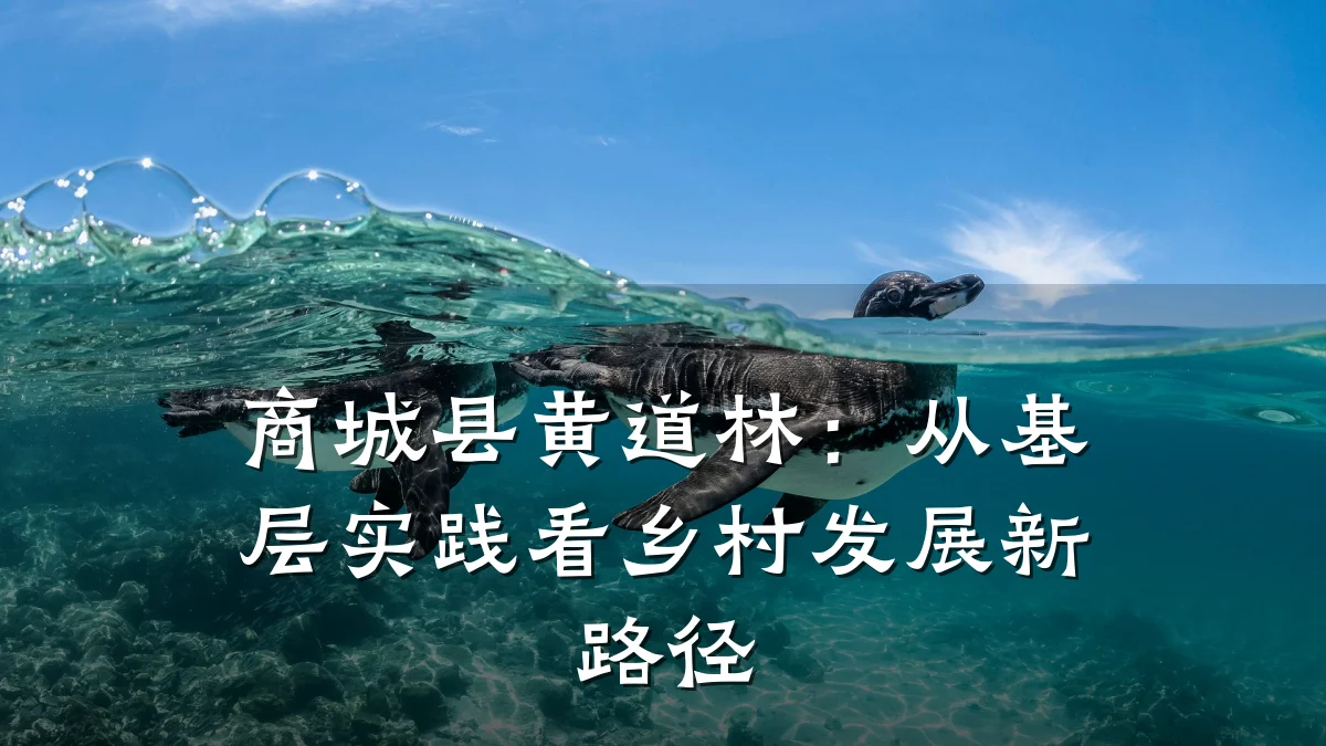 商城县黄道林:从基层实践看乡村发展新路径