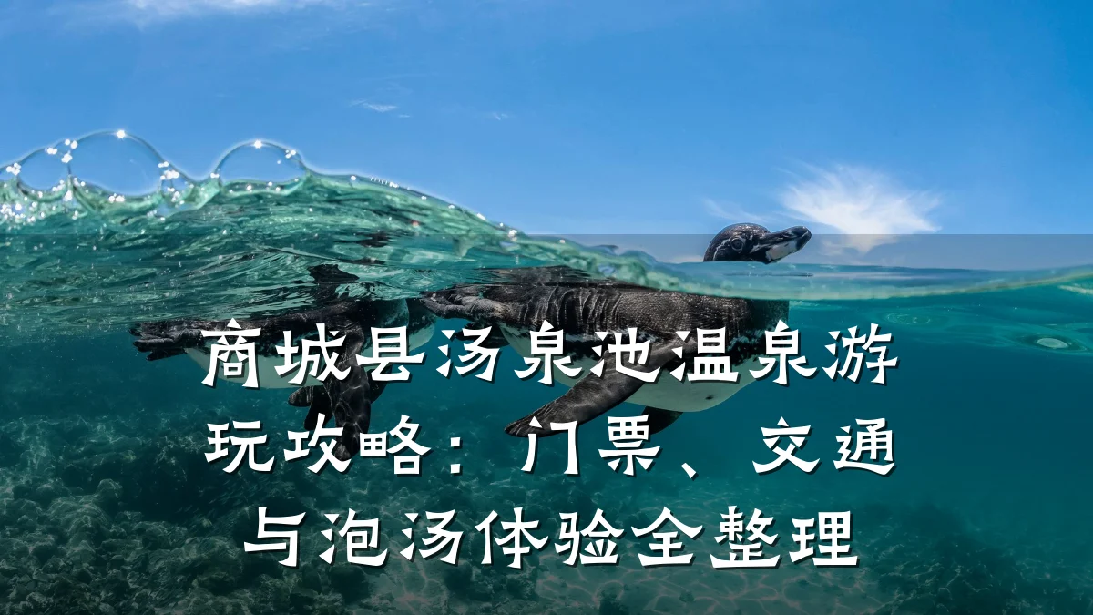 商城县汤泉池温泉游玩攻略:门票、交通与泡汤体验全整理