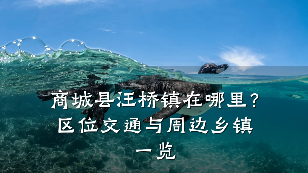 商城县汪桥镇在哪里？区位交通与周边乡镇一览