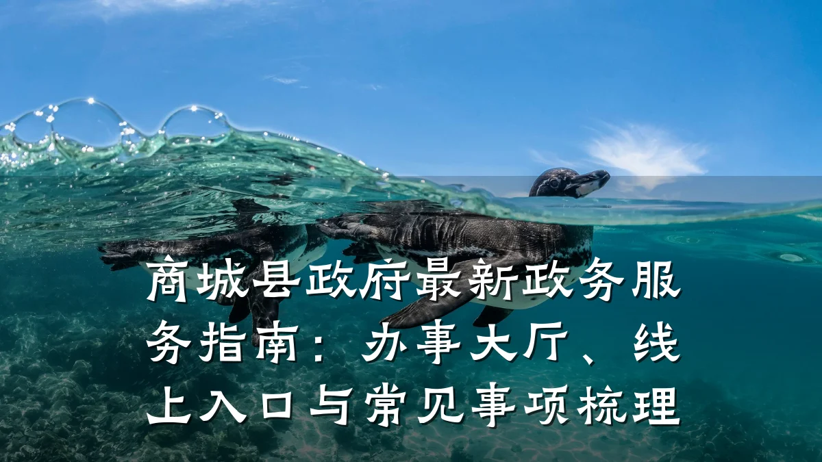 商城县政府最新政务服务指南:办事大厅、线上入口与常见事项梳理
