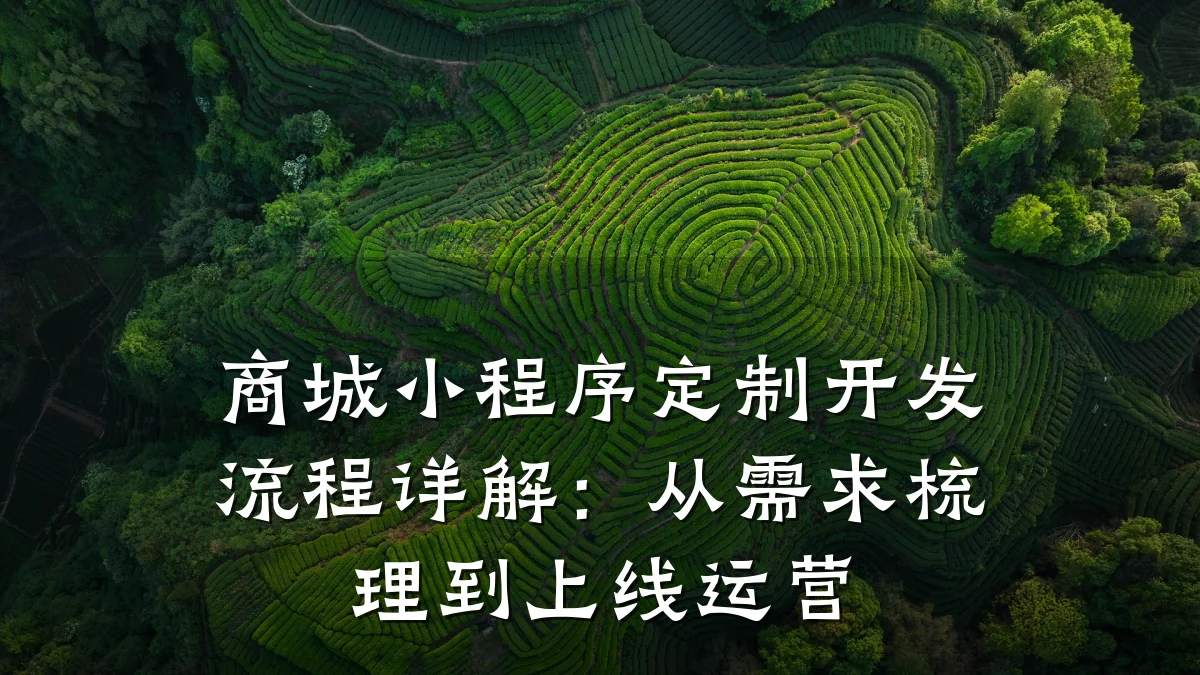 商城小程序定制开发流程详解:从需求梳理到上线运营