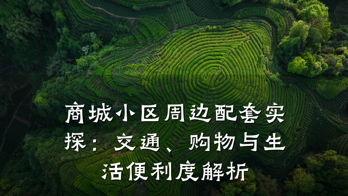 商城小区周边配套实探:交通、购物与生活便利度解析