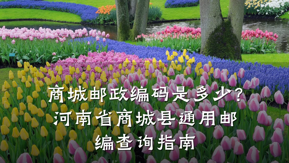 商城邮政编码是多少?河南省商城县通用邮编查询指南