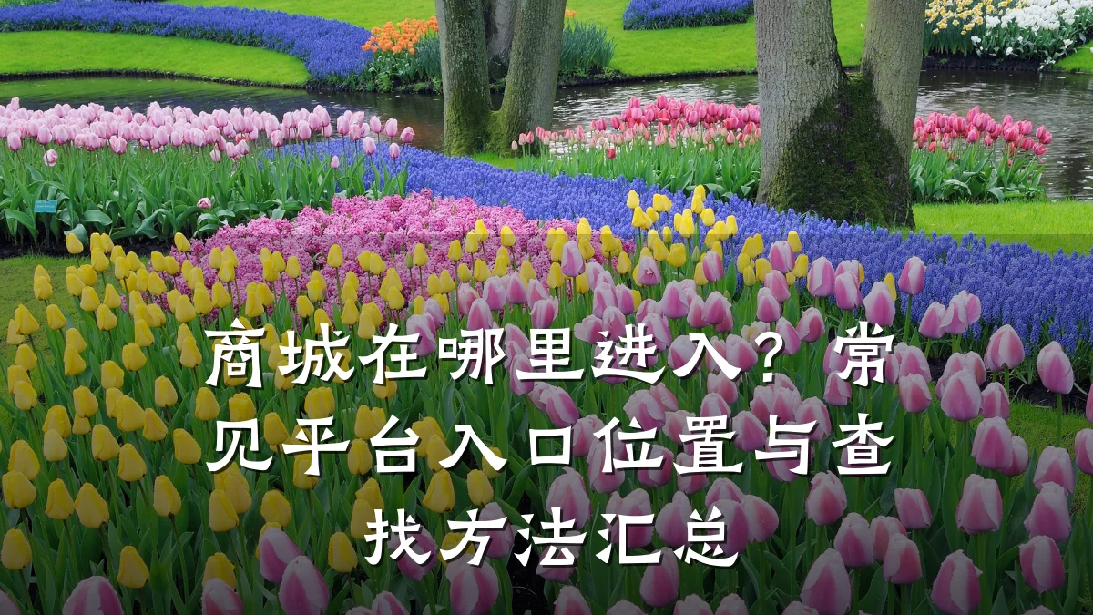 商城在哪里进入?常见平台入口位置与查找方法汇总