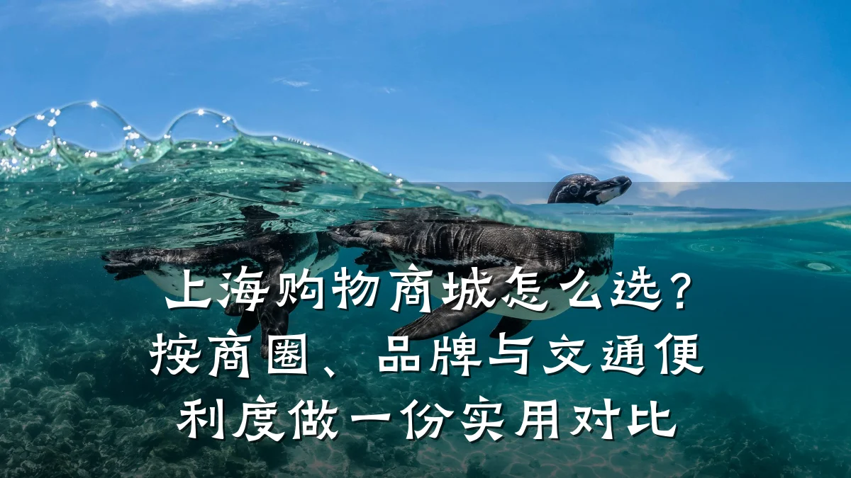 上海购物商城怎么选？按商圈、品牌与交通便利度做一份实用对比