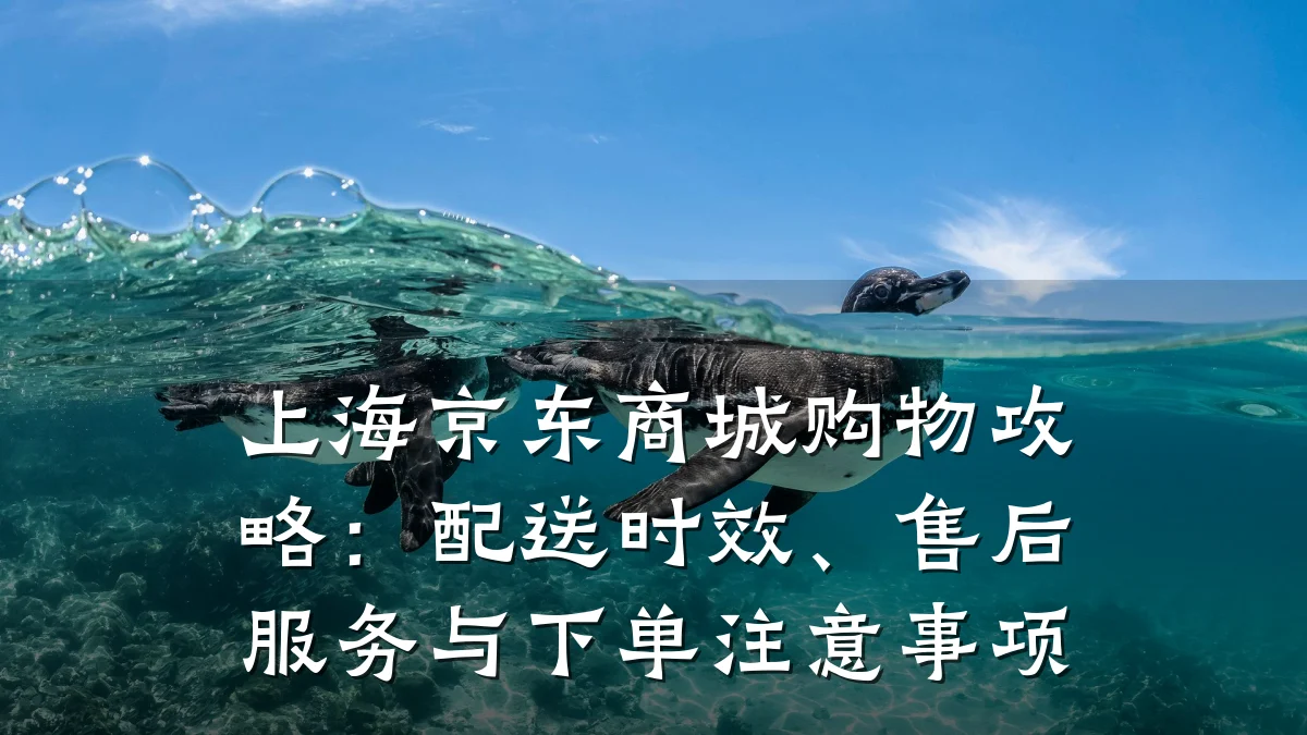 上海京东商城购物攻略：配送时效、售后服务与下单注意事项