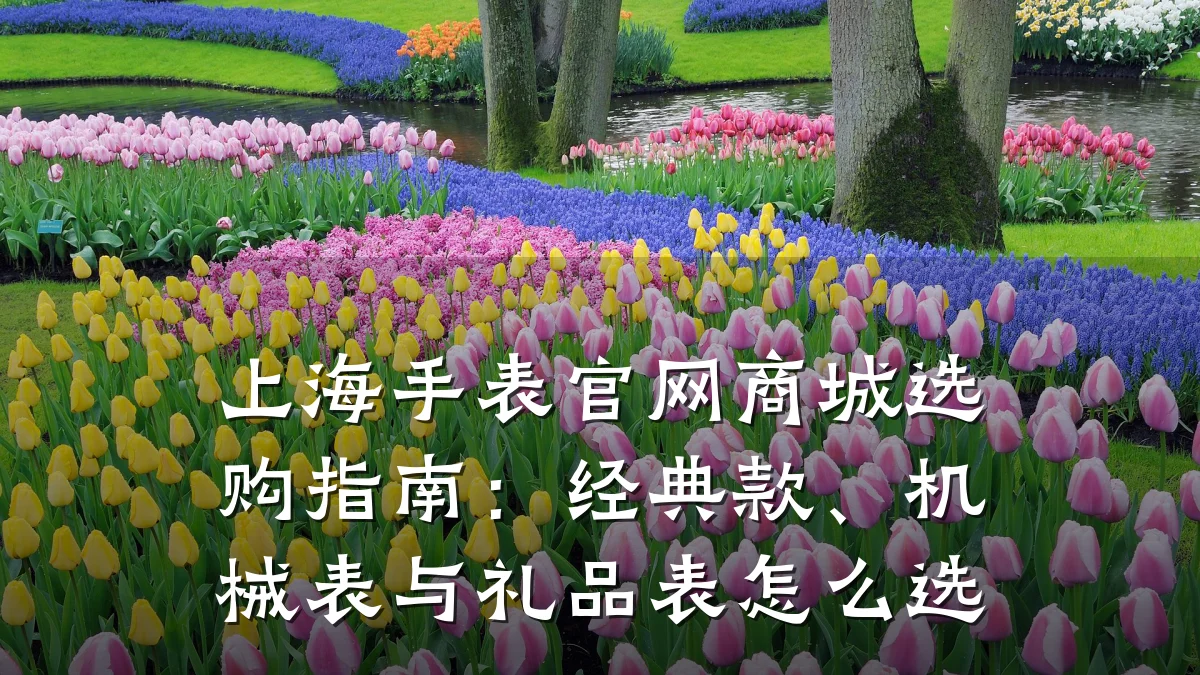 上海手表官网商城选购指南:经典款、机械表与礼品表怎么选