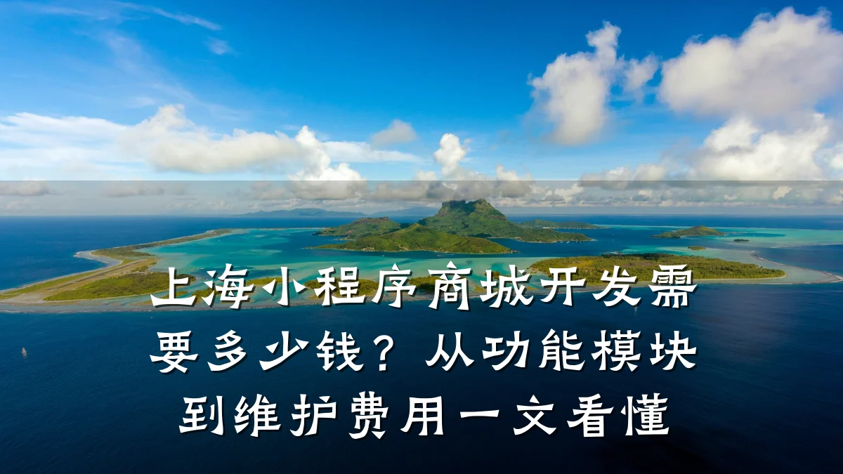上海小程序商城开发需要多少钱?从功能模块到维护费用一文看懂