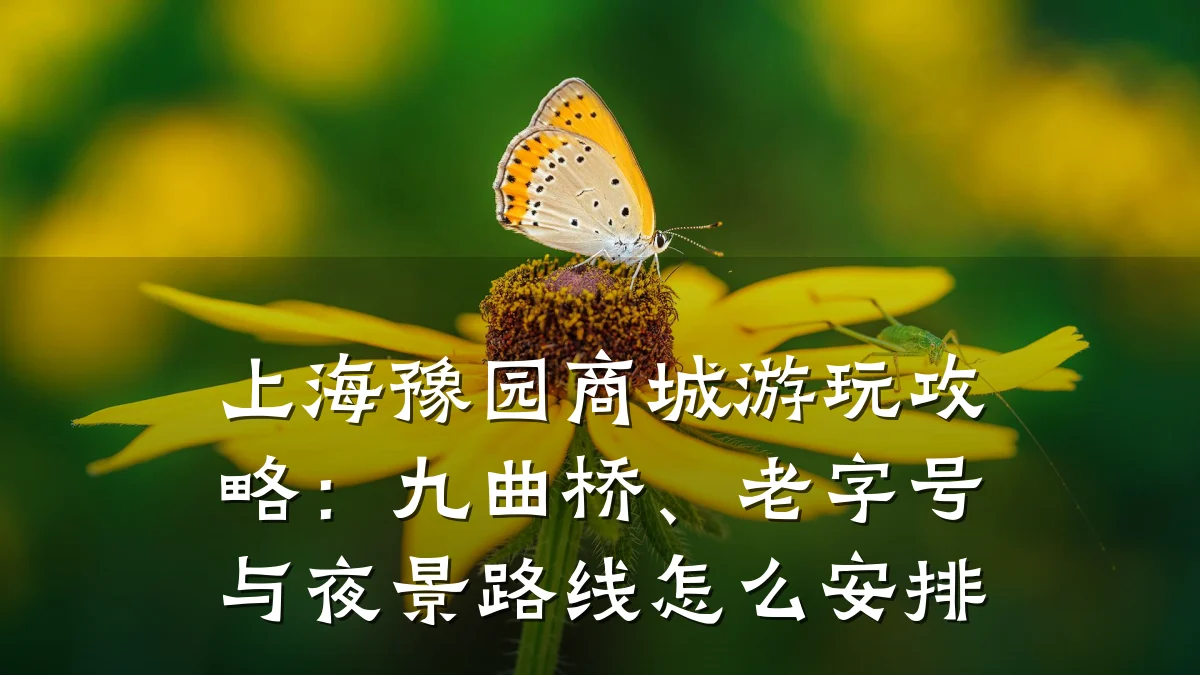 上海豫园商城游玩攻略：九曲桥、老字号与夜景路线怎么安排