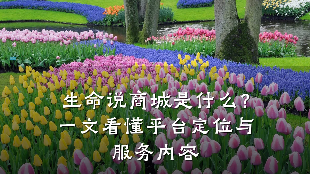 生命说商城是什么？一文看懂平台定位与服务内容