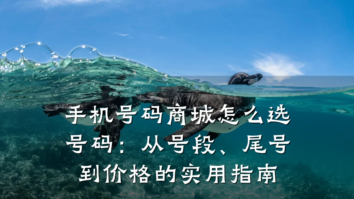 手机号码商城怎么选号码：从号段、尾号到价格的实用指南