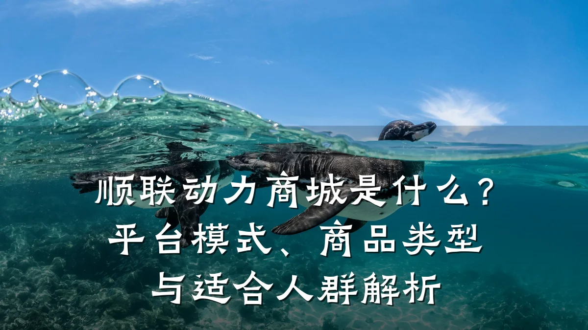 顺联动力商城是什么？平台模式、商品类型与适合人群解析