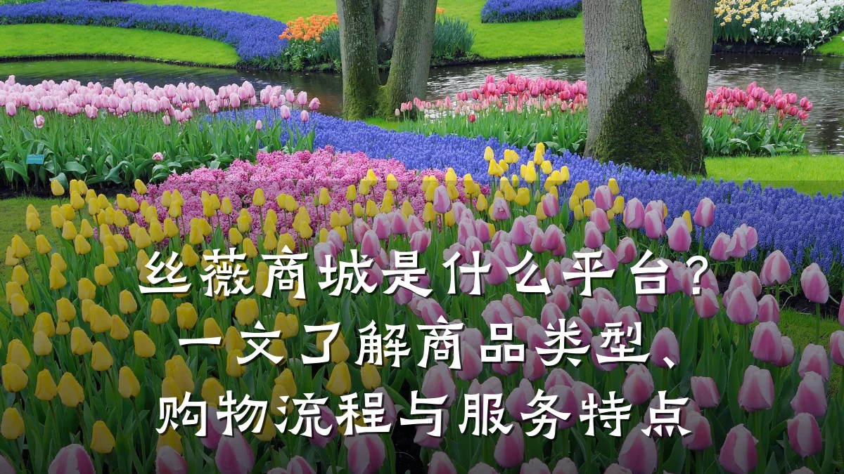 丝薇商城是什么平台?一文了解商品类型、购物流程与服务特点