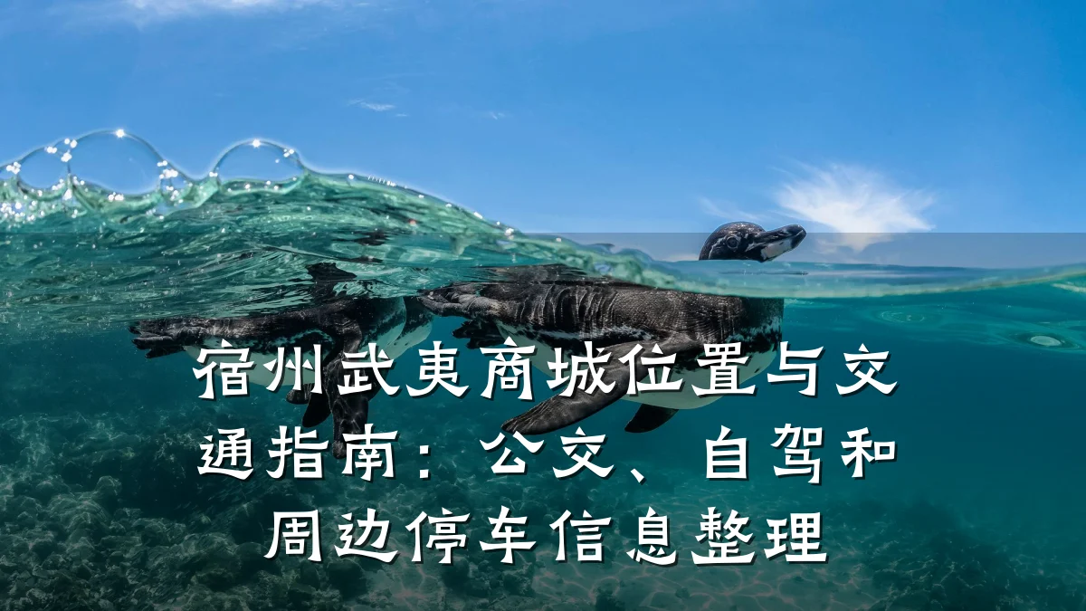宿州武夷商城位置与交通指南：公交、自驾和周边停车信息整理
