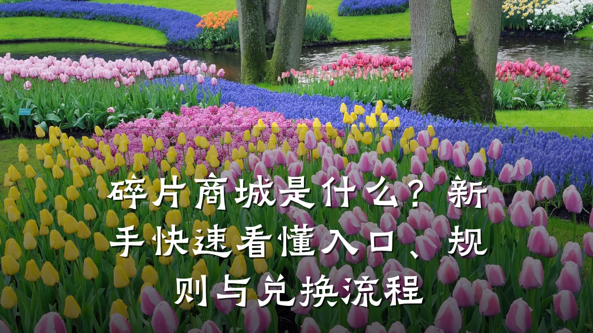 碎片商城是什么?新手快速看懂入口、规则与兑换流程