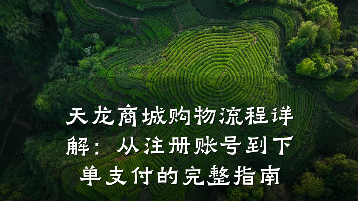 天龙商城购物流程详解：从注册账号到下单支付的完整指南