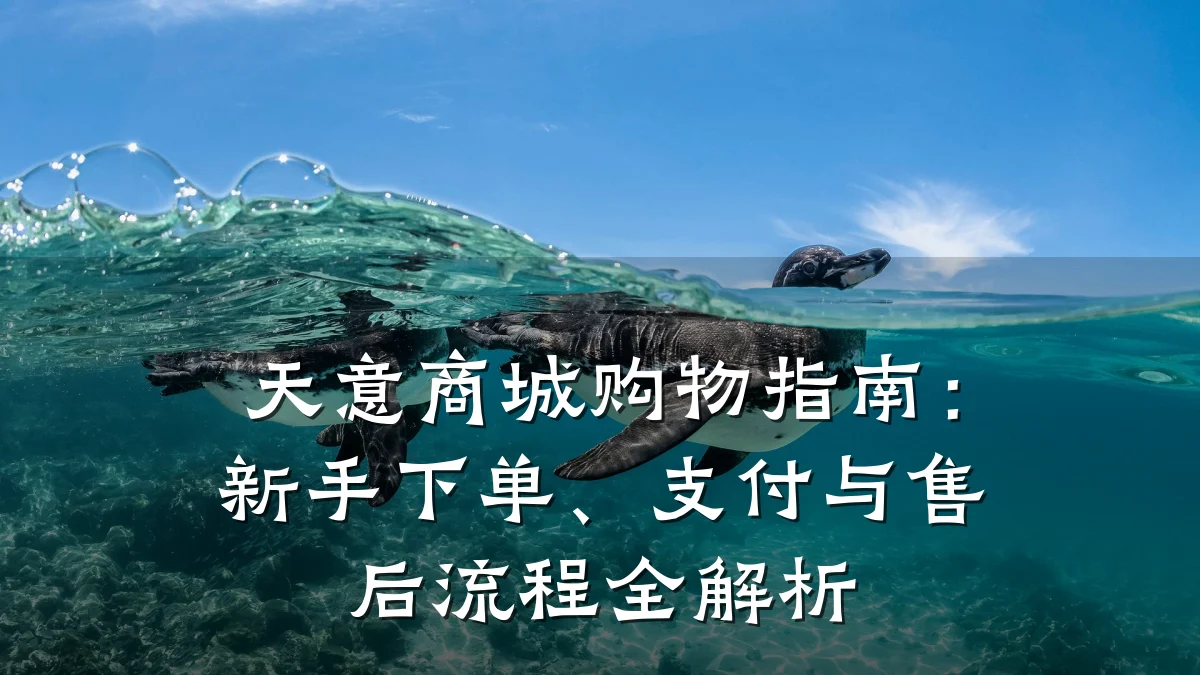 天意商城购物指南：新手下单、支付与售后流程全解析