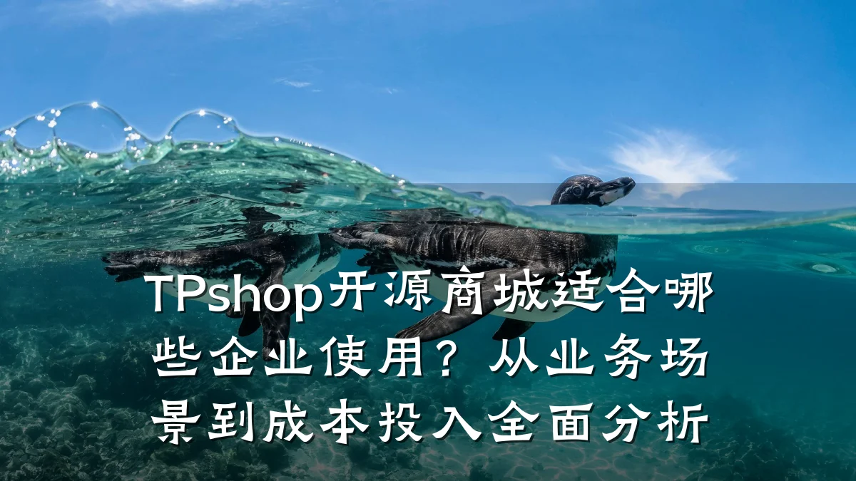 TPshop开源商城适合哪些企业使用?从业务场景到成本投入全面分析