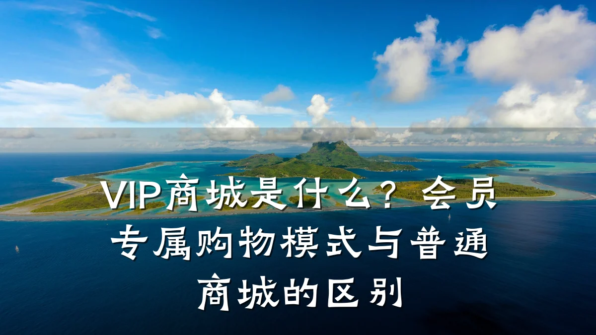 VIP商城是什么？会员专属购物模式与普通商城的区别