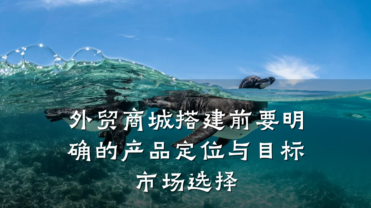 外贸商城搭建前要明确的产品定位与目标市场选择