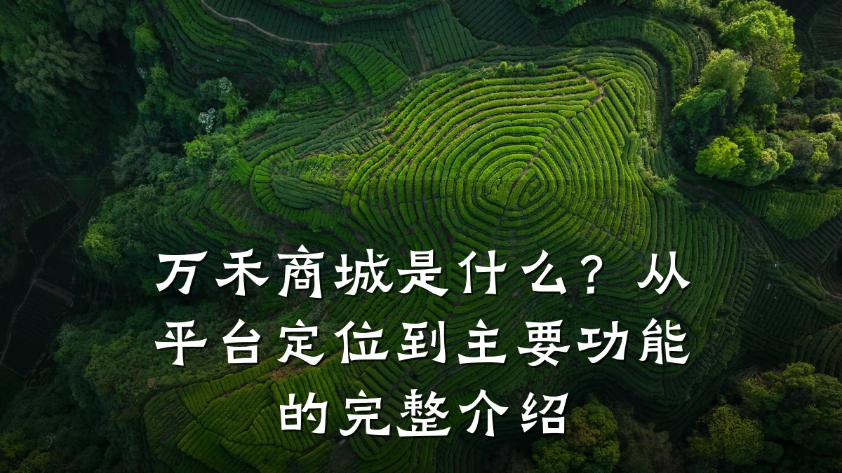 万禾商城是什么？从平台定位到主要功能的完整介绍