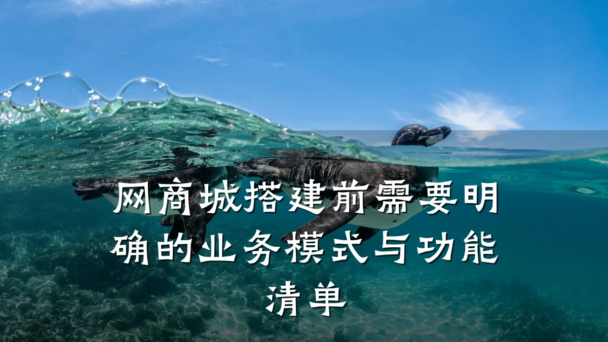 网商城搭建前需要明确的业务模式与功能清单