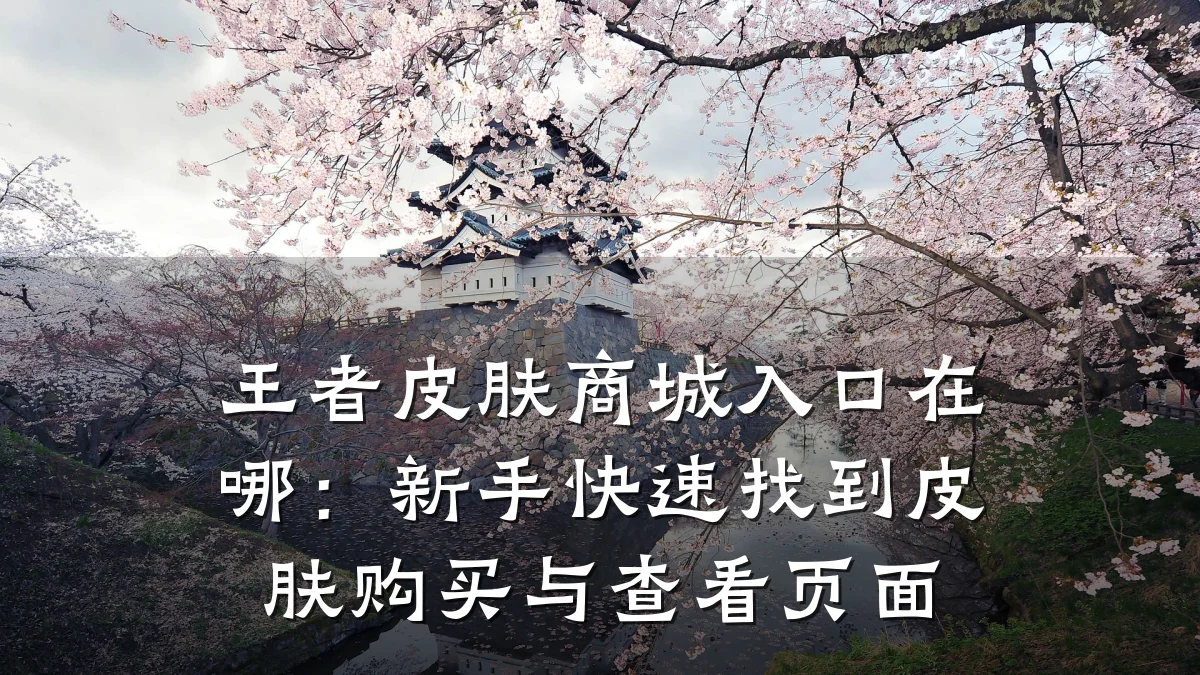 王者皮肤商城入口在哪：新手快速找到皮肤购买与查看页面