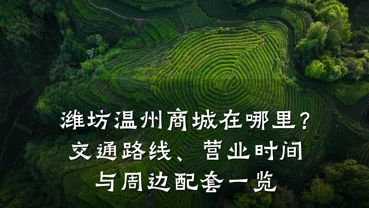 潍坊温州商城在哪里？交通路线、营业时间与周边配套一览