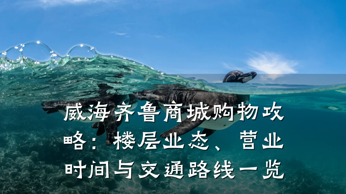 威海齐鲁商城购物攻略：楼层业态、营业时间与交通路线一览