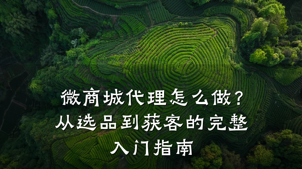 微商城代理怎么做？从选品到获客的完整入门指南