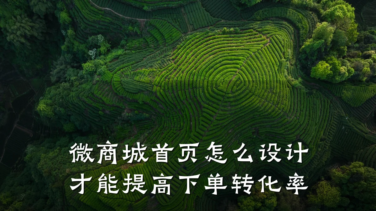 微商城首页怎么设计才能提高下单转化率