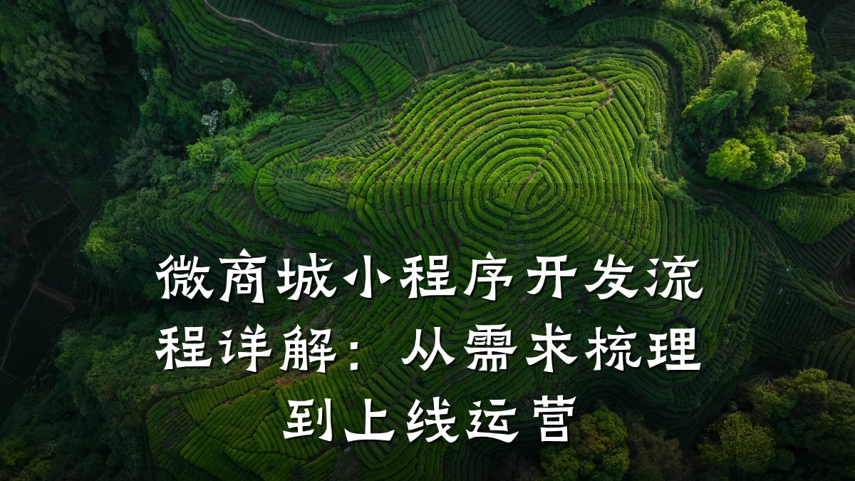 微商城小程序开发流程详解:从需求梳理到上线运营