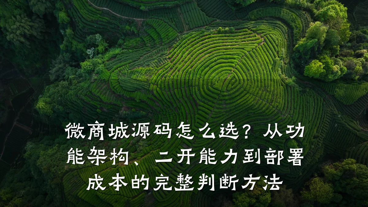 微商城源码怎么选？从功能架构、二开能力到部署成本的完整判断方法