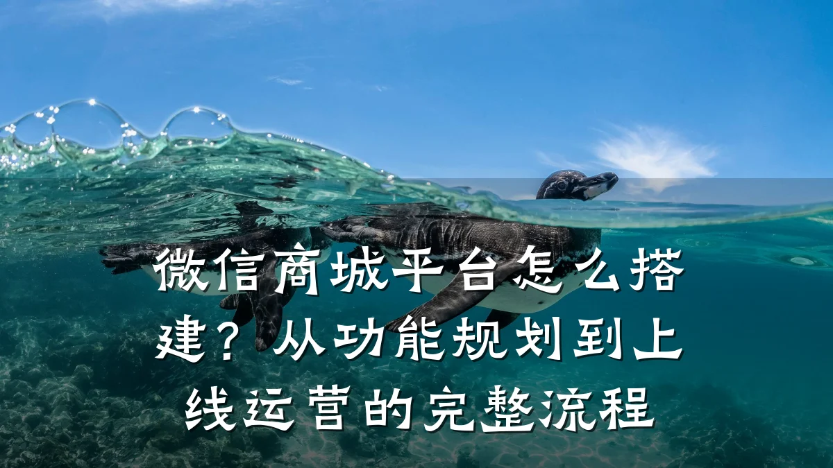 微信商城平台怎么搭建？从功能规划到上线运营的完整流程