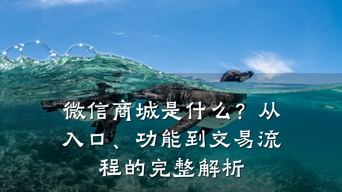 微信商城是什么？从入口、功能到交易流程的完整解析