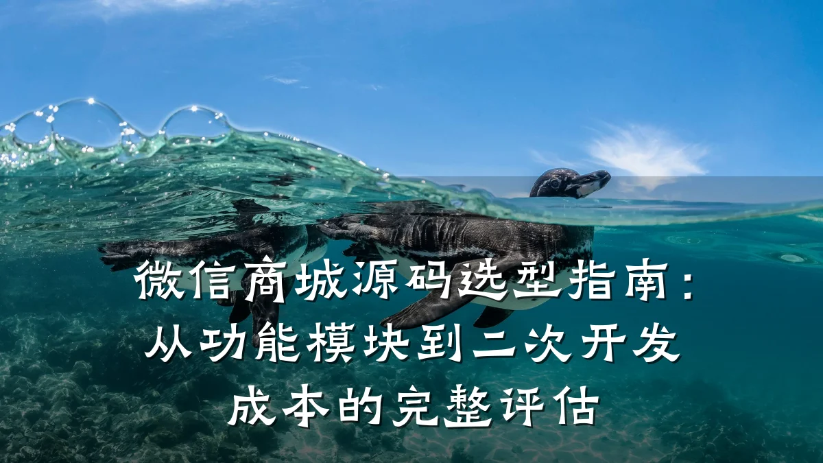 微信商城源码选型指南:从功能模块到二次开发成本的完整评估