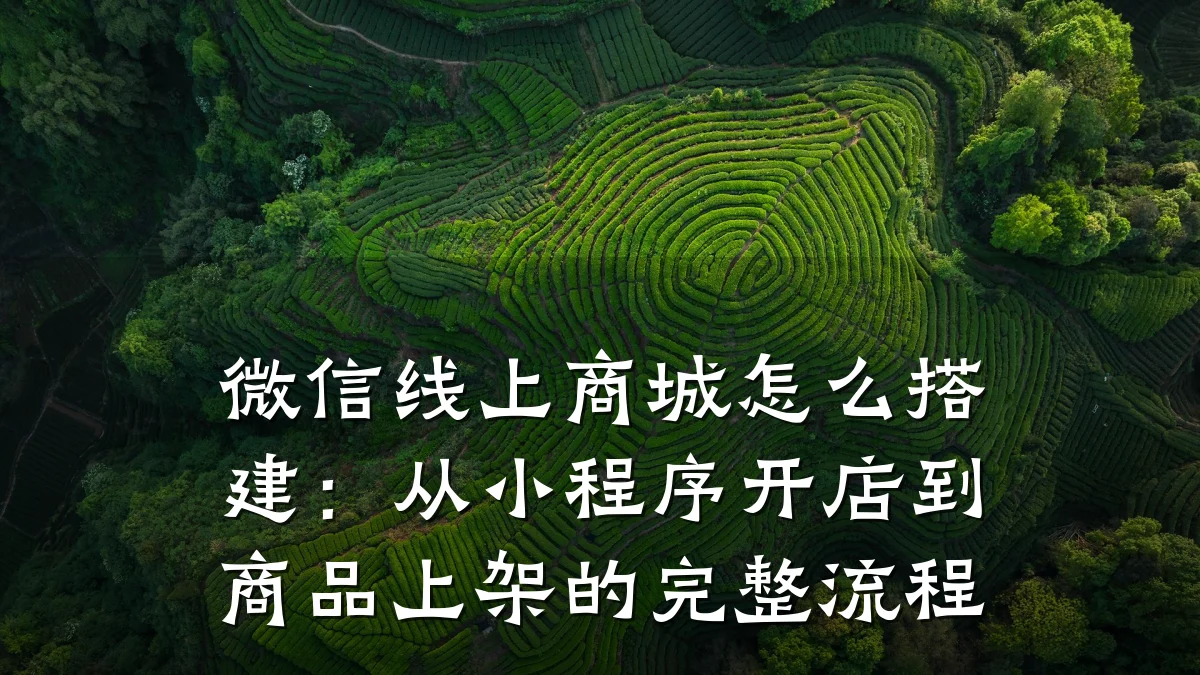 微信线上商城怎么搭建:从小程序开店到商品上架的完整流程