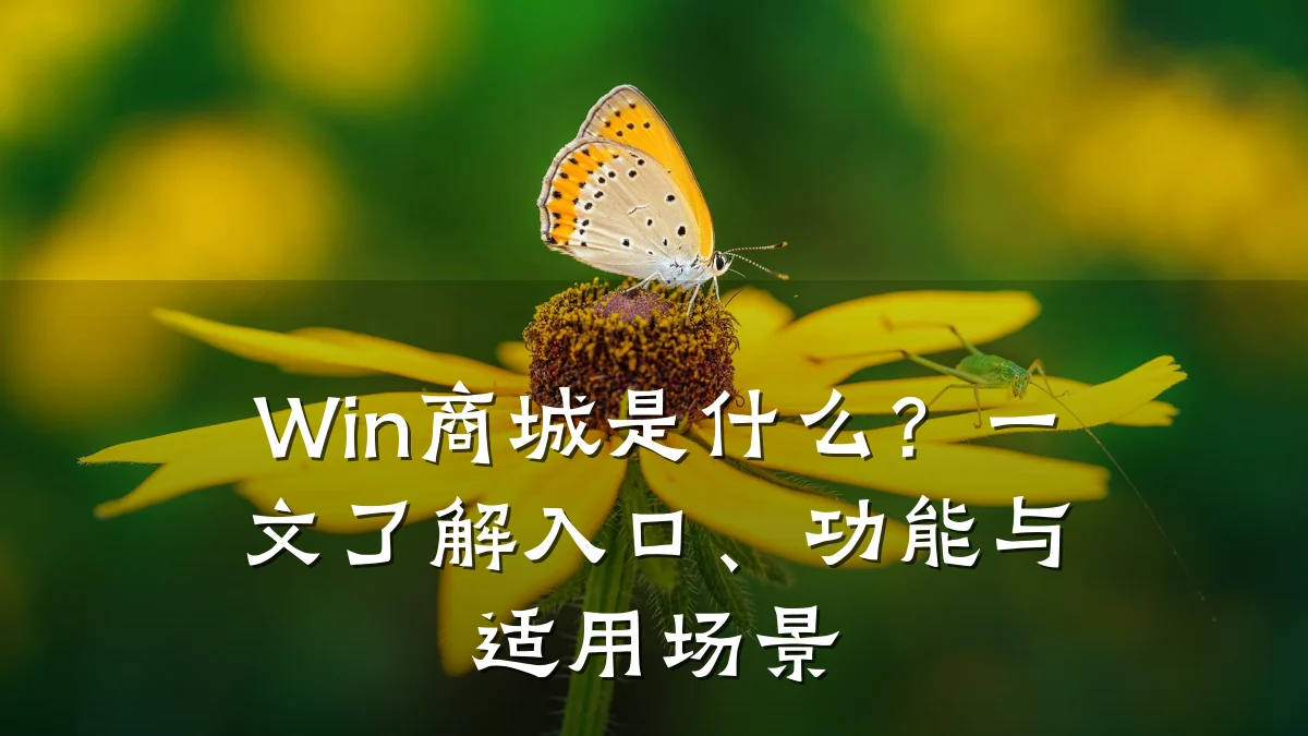 Win商城是什么？一文了解入口、功能与适用场景