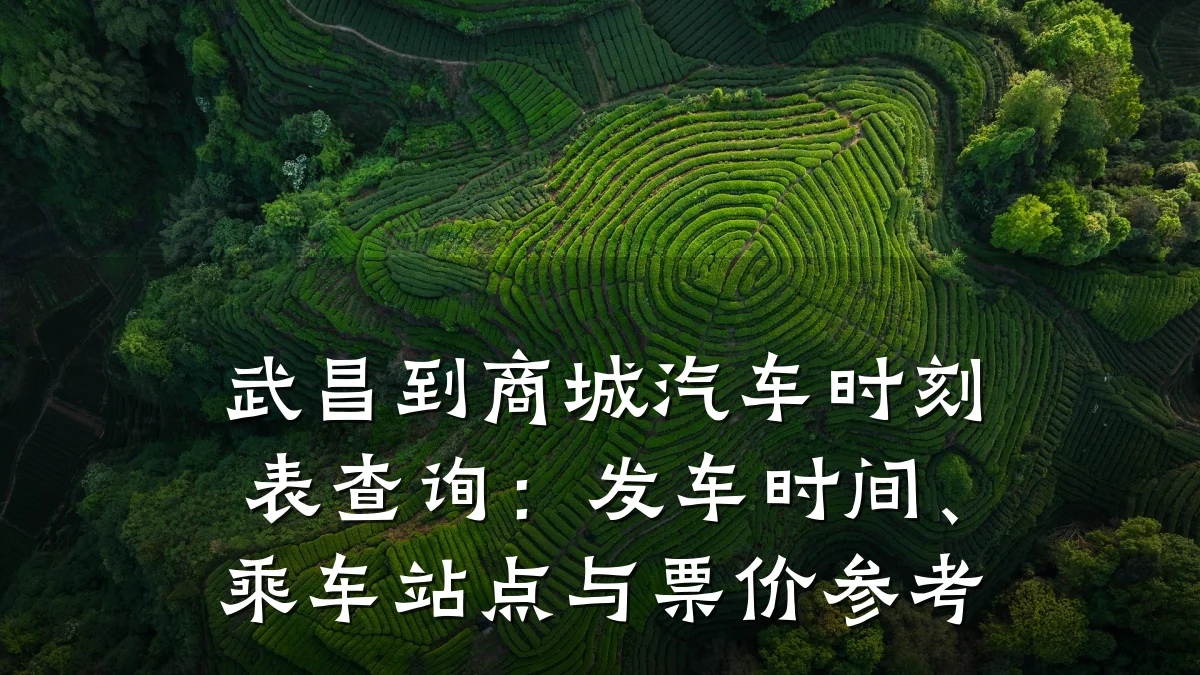 武昌到商城汽车时刻表查询:发车时间、乘车站点与票价参考