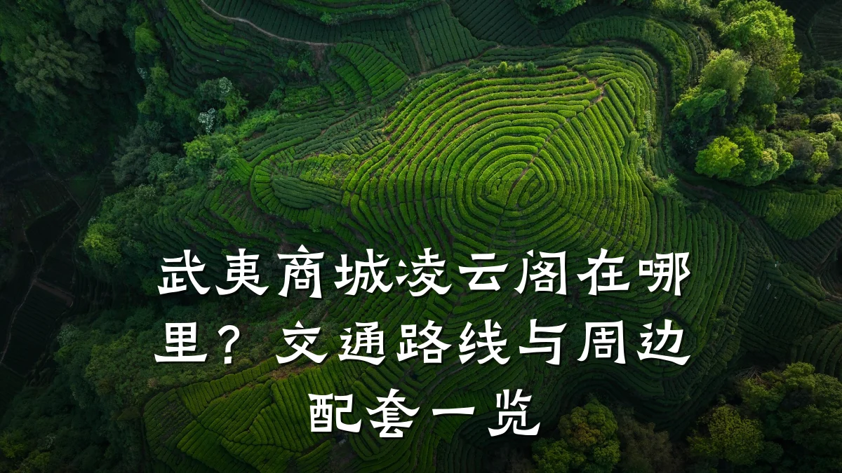 武夷商城凌云阁在哪里?交通路线与周边配套一览