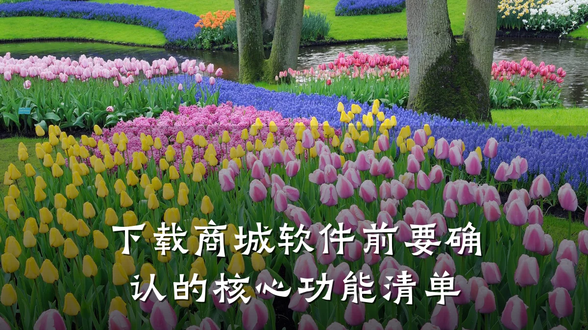 下载商城软件前要确认的核心功能清单