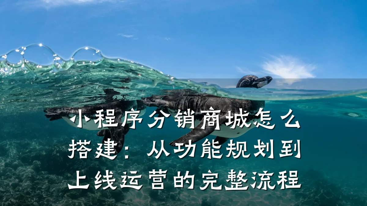小程序分销商城怎么搭建：从功能规划到上线运营的完整流程