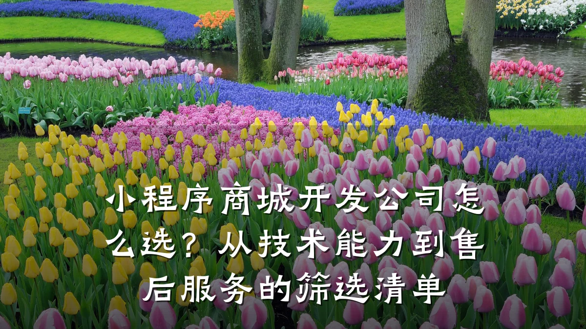 小程序商城开发公司怎么选？从技术能力到售后服务的筛选清单
