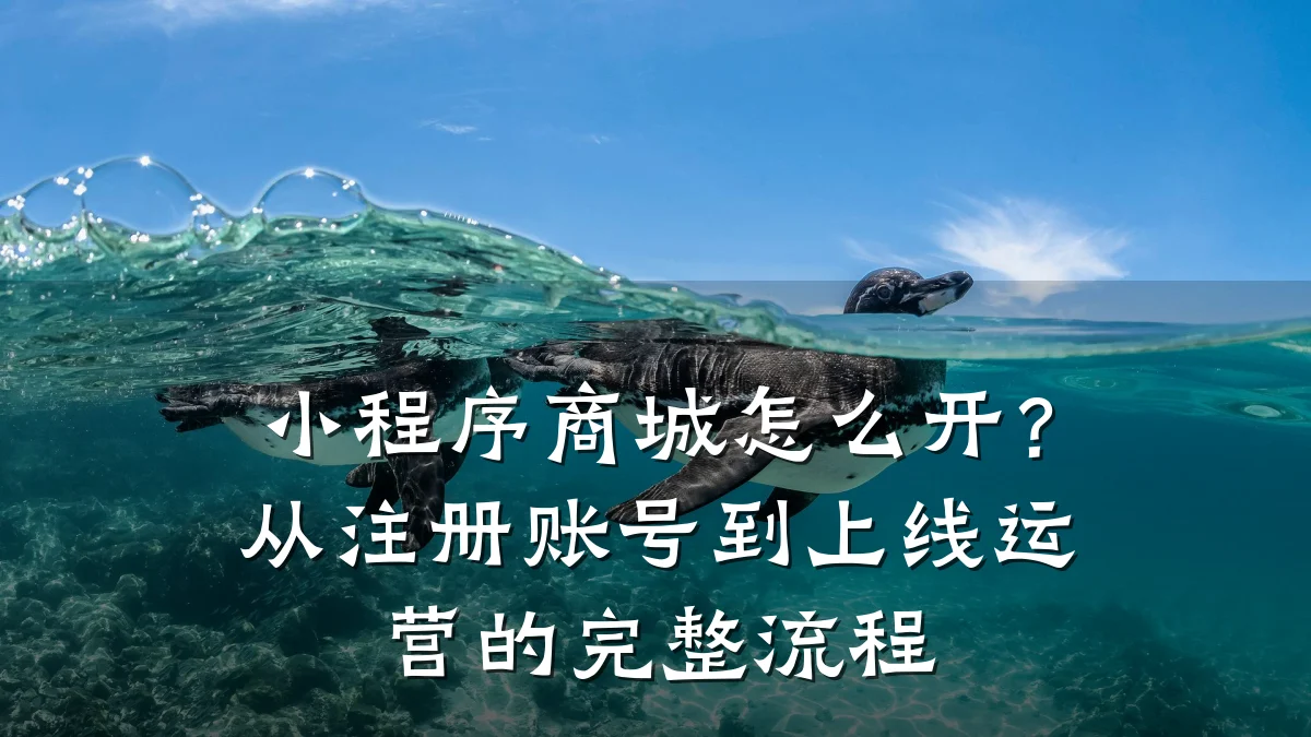 小程序商城怎么开?从注册账号到上线运营的完整流程
