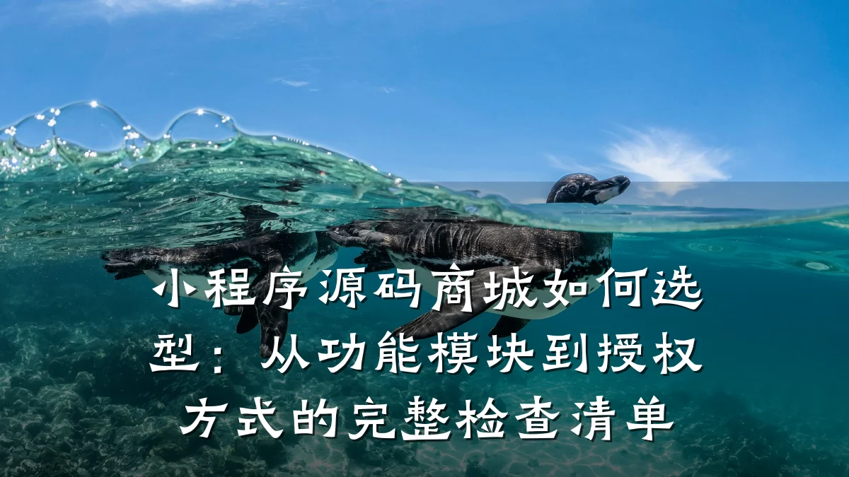 小程序源码商城如何选型：从功能模块到授权方式的完整检查清单