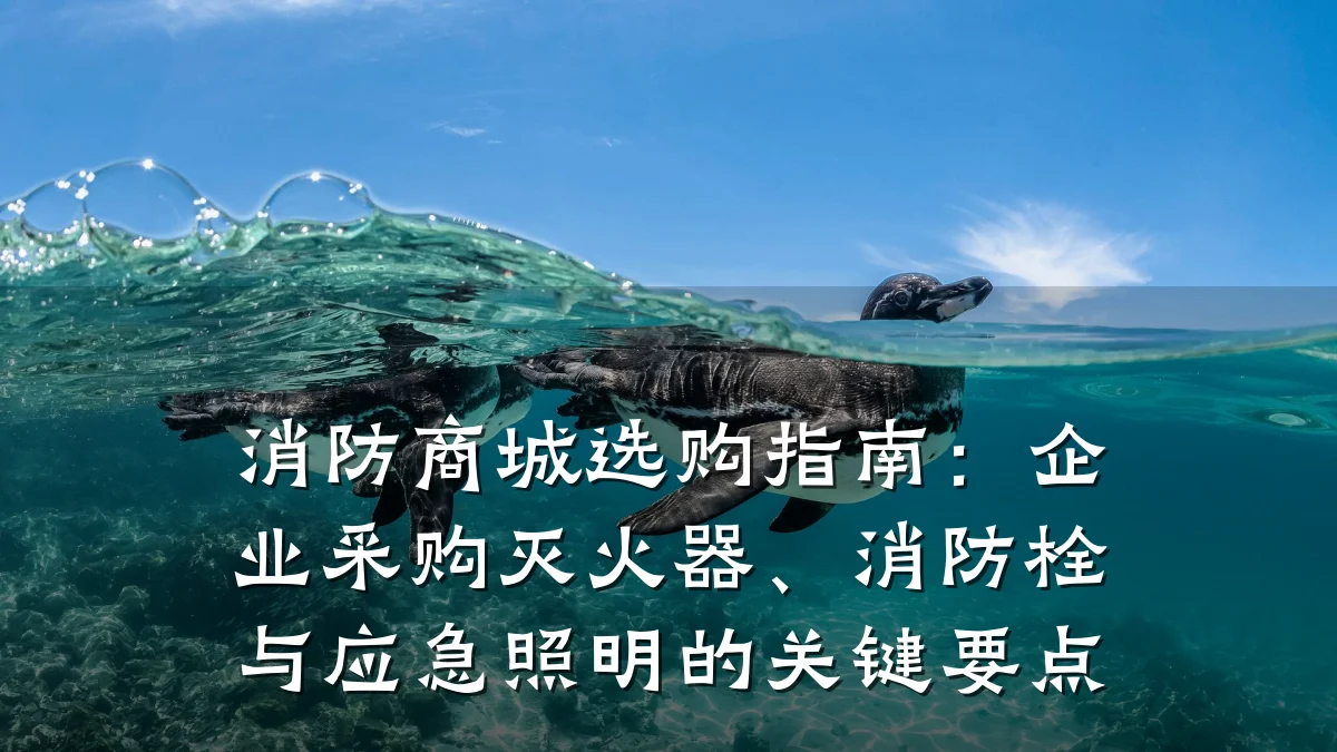 消防商城选购指南：企业采购灭火器、消防栓与应急照明的关键要点